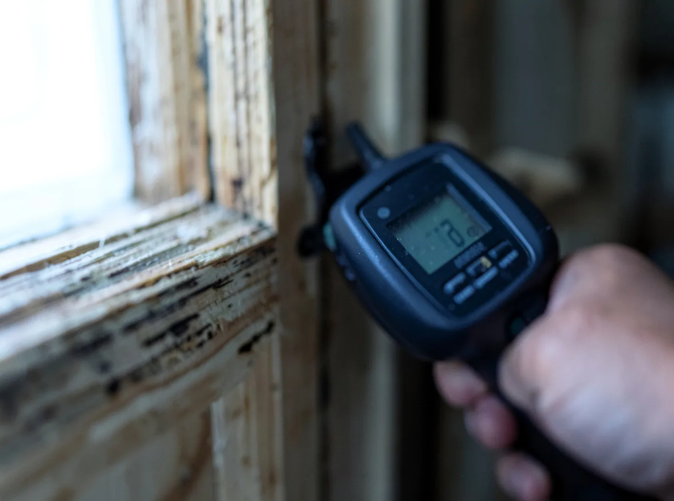 Moisture Inspection And Documentation in Palmer Lake, CO